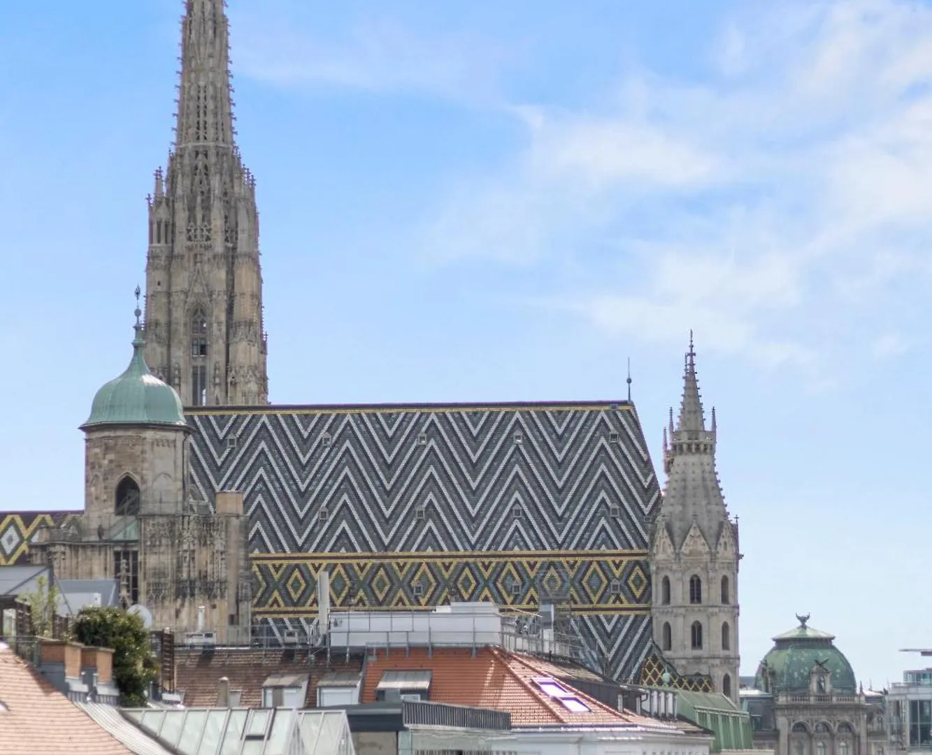 110 M2 Rooftop Apartment - St Stephen'S Cathedral View Vienna